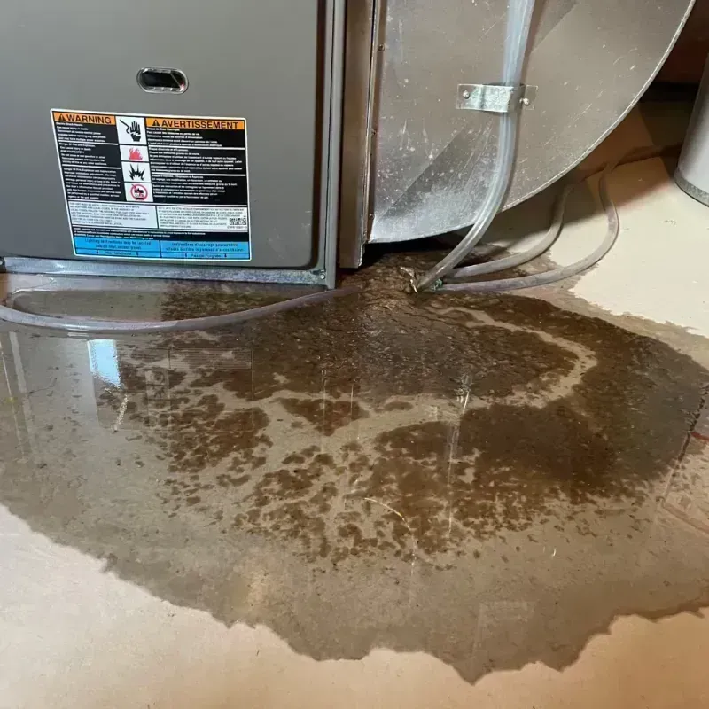 Appliance Leak Cleanup in Milan, MO